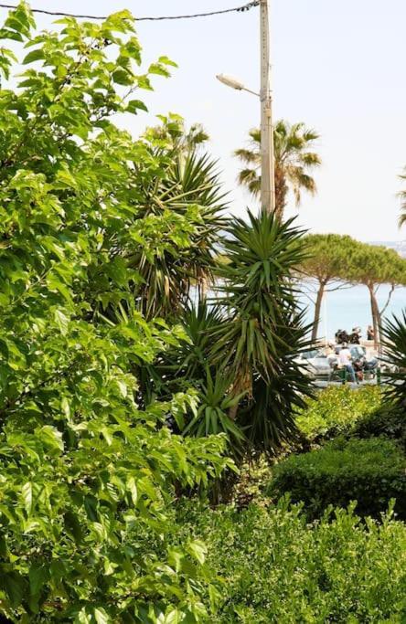 Blue Summer Vibes Duplex Studio For 4P, Ac, Sea View, Parking, Beach At 50M, Spa Access -3 라시오타 외부 사진